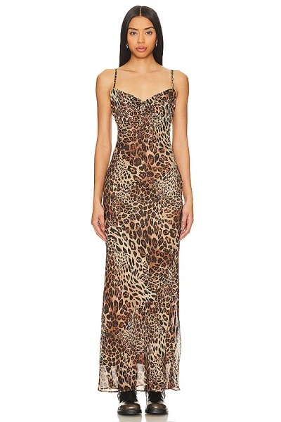 Superdown Dexi Maxi Dress In Brown Leopard