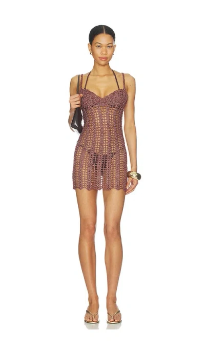 Superdown Magnolia Crochet Mini Dress In Brown