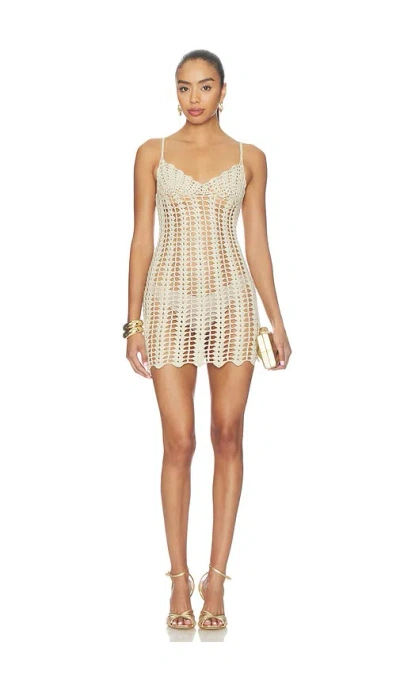 Superdown Magnolia Crochet Mini Dress In Brown