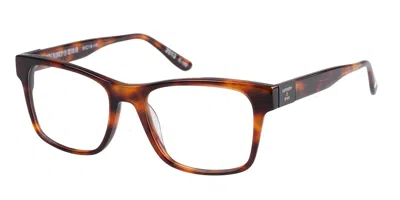 Superdry Sdo 2013 Men's Glasses, Tortoiseshell, Size 53 In Brown