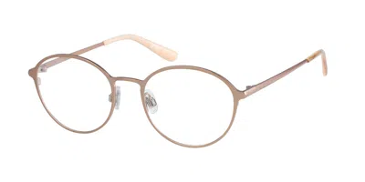 Superdry Sdo 2023 Men's Glasses, Brown, Size 49