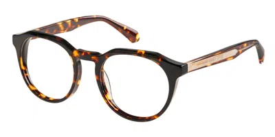 Superdry Sdo 3013 Men's Glasses, Tortoiseshell, Size 51 In Brown