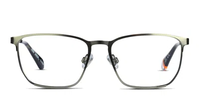Superdry Sdo-3004 Green