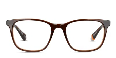 Superdry Sdo-3005 Brown