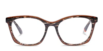 Superdry Sdo-3022 Brown,black