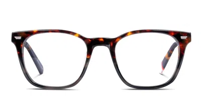 Superdry Sdo-3065 Tortoise,gray