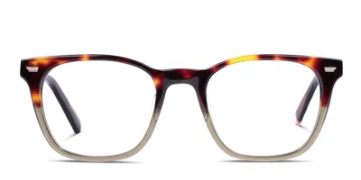Superdry Sdo-3065 Tortoise,green