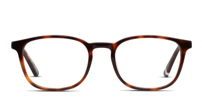 Superdry Sdo-bretton Tortoise