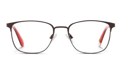 Superdry Sdo-fuji Brown