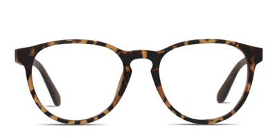 Superdry Sdo-katlyn Tortoise