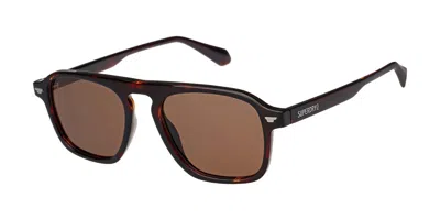 Superdry Sds 5049 102 Occhiali Da Sole Tartarugatishell Per Uomo In Brown