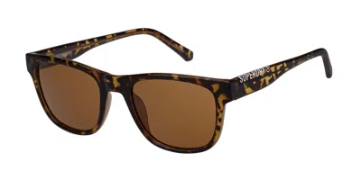 Superdry Sds 5055 102 Occhiali Da Sole Tartarugatishell Per Donna In Brown