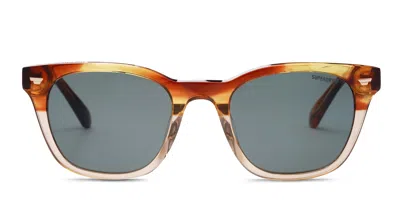 Superdry Sds-5043 Tortoise,beige