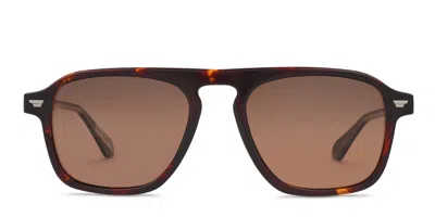 Superdry Sds-5049 Tortoise
