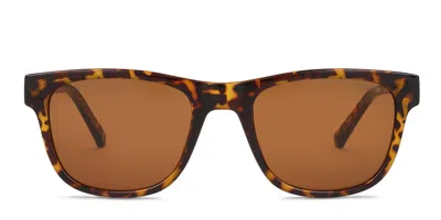 Superdry Sds-5055 Tortoise