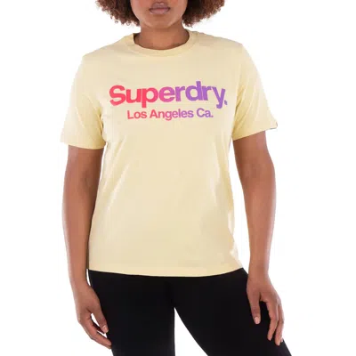 Superdry Tonal Rainbow Core T-shirt