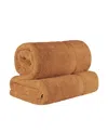 Superior 100% Egyptian Cotton 2-pc Bath Sheet Set In Brown