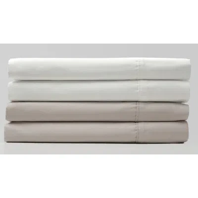 Superior 600 Thread Count Certified Egyptian Cotton Solid Standard Pillowcase Set In Platinum