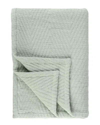 Superior Aswan Medium Weight Chevron Woven Throw In Green