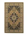 Superior Glendale Traditional Oriental Floral Rug