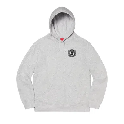 Pre-owned Supreme Anti Hooded Sweatshirt 'ash Grey'