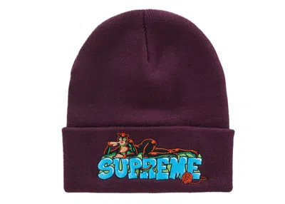 Pre-owned Supreme Catwoman Beanie In Plum In Purple