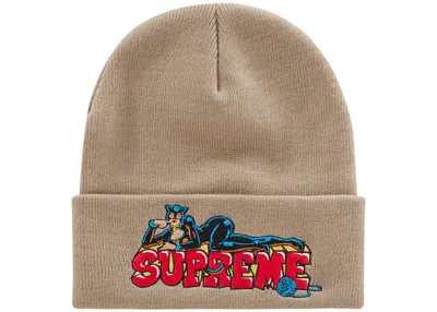 Pre-owned Supreme Catwoman Beanie In Stone