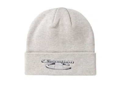 Pre-owned Supreme Champion 3d Metallic Beanie In Ash Grey