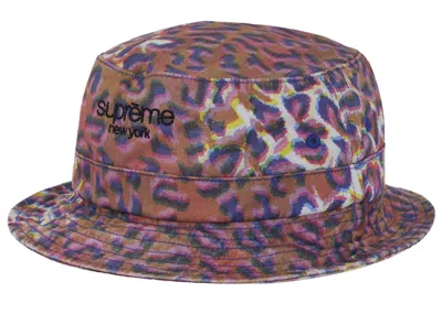 Pre-owned Supreme Classic Logo Crusher Hat In Leopard