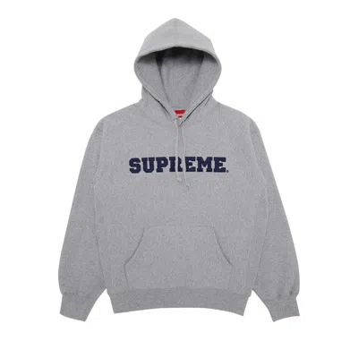 Pre-owned Supreme Collegiate Hooded Sweatshirt 'heather Grey'