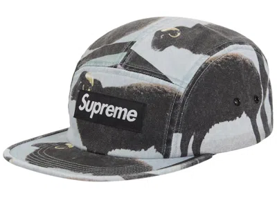 Pre-owned Supreme Damien Hirst Camp Cap In Black