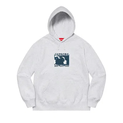 Pre-owned Supreme Dog Eat Dog Hooded Sweatshirt 'ash Grey'