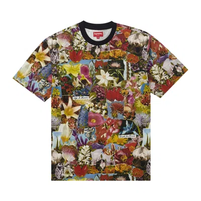 Pre-owned Supreme Dream Short-sleeve Top 'multicolor' | Red | Men's Size M