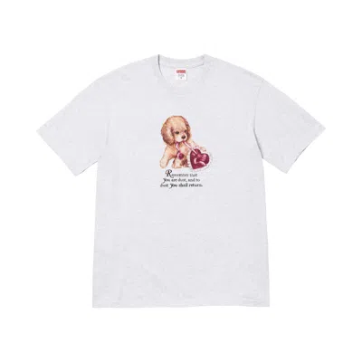 Pre-owned Supreme Dust Tee 'ash Grey' | Men's Size Xxl In Gray