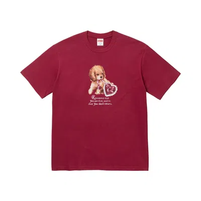 Pre-owned Supreme Dust Tee 'cardinal' | Red | Men's Size Xxl