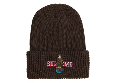 Pre-owned Supreme Eagle Beanie In Brown