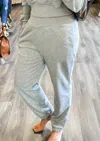 Supreme Fashion Solid Jogger Pant In Grey In Gray