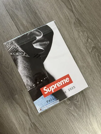 Pre-owned Supreme Fw 2025 Look Book Poster In Multi