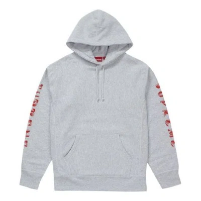 Supreme Fw18 Gradient Sleeve Hooded Sweatshirt Ash 'grey' In Gray