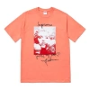 Supreme Fw18 Madonna Tee Terra Cotta Printing Short Sleeve Unisex Pink In Orange