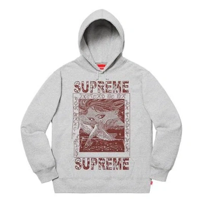 Supreme Fw19 Week 2 Doves Hooded Sweatshirt In Gray