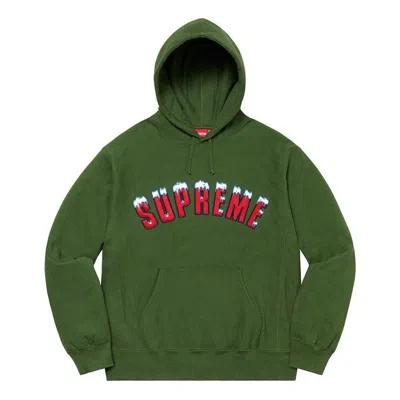 Supreme Fw20 Week 1 Icy Arc Hoodie 'olivegreen' In Green