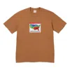 Supreme Fw23 Week7 Weather T-shirt 'brown'