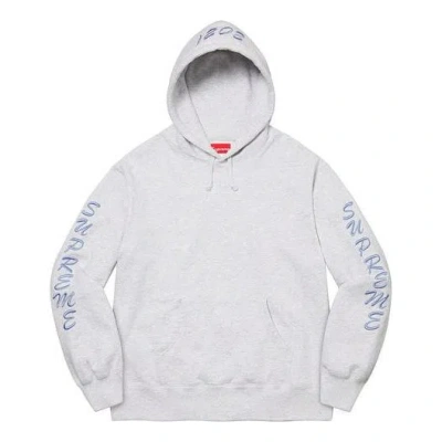 Supreme Guardian Hooded Sweatshirt 'white Grey Blue'
