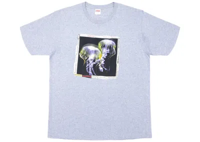 Pre-owned Supreme Jellyfish Tee Shirt In Heather Grey