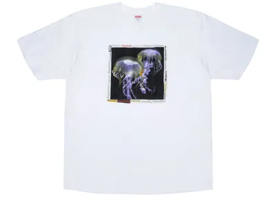 Pre-owned Supreme Jellyfish Tee Shirt In White