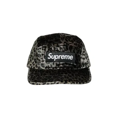 Pre-owned Supreme Leopard Velvet Camp Cap 'black'
