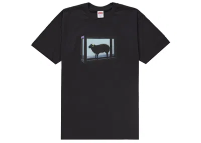 Pre-owned Supreme Men's  Damien Hirst Tee Shirt In Black