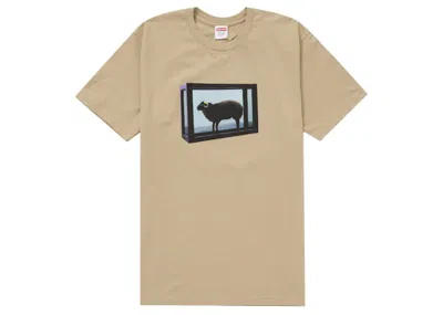 Pre-owned Supreme Men's  Damien Hirst Tee Shirt In Khaki In Brown