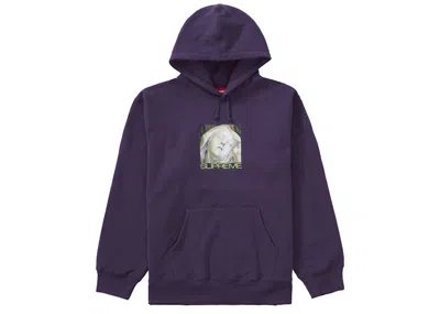 Pre-owned Supreme Men's  Ecstasy Hooded Sweatshirt In Dusty Purple